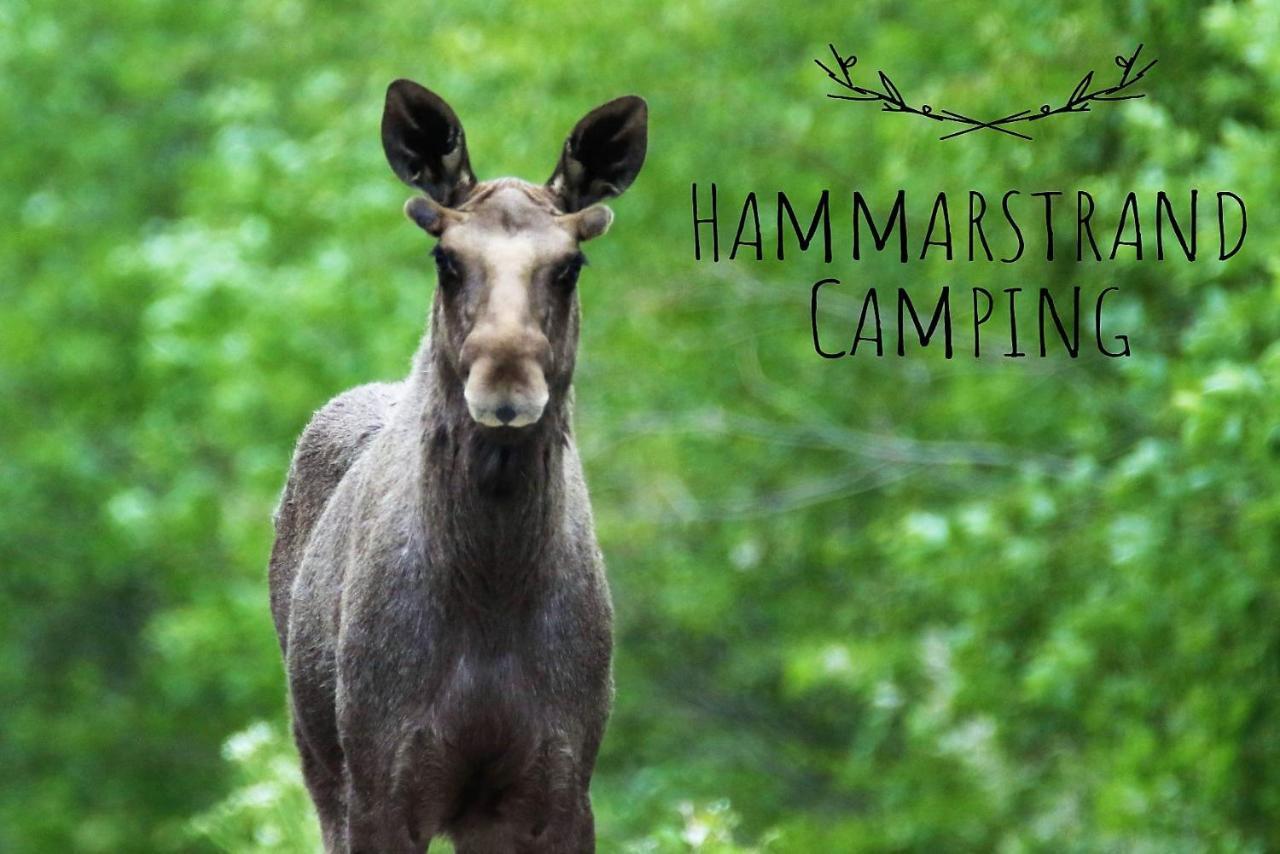 4 Persoons Stuga Hammarstrand エクステリア 写真